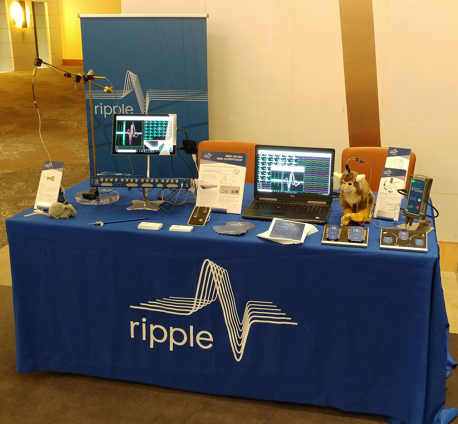 Ripple is at Cosyne! - Ripple Neuromed